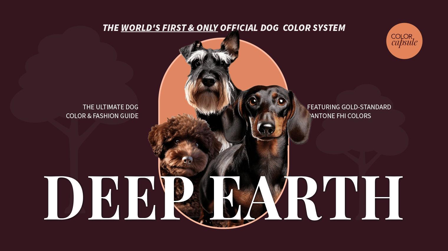 deep earth color guide for dark warm and cool dogs deep brown black mix clothes